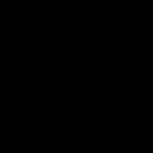 Meet your Posher, Sophie